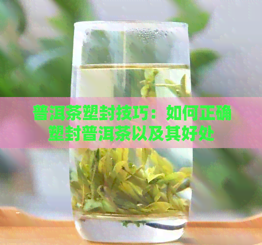 普洱茶塑封技巧：如何正确塑封普洱茶以及其好处