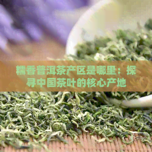 糯香普洱茶产区是哪里：探寻中国茶叶的核心产地