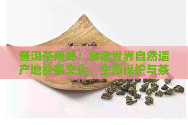 普洱茶雨林：探索世界自然遗产地的茶文化、生态保护与茶叶品质