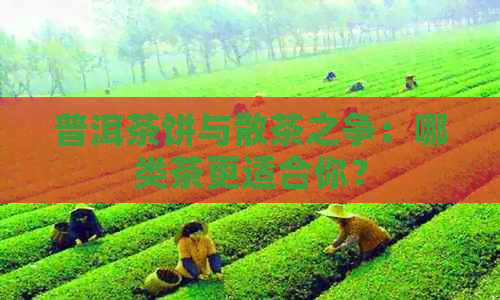 普洱茶饼与散茶之争：哪类茶更适合你？