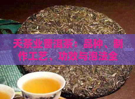 天茶业普洱茶：品种、制作工艺、功效与泡法全方位解析