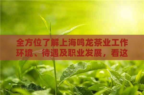 全方位了解上海鸣龙茶业工作环境、待遇及职业发展，看这篇就够了！