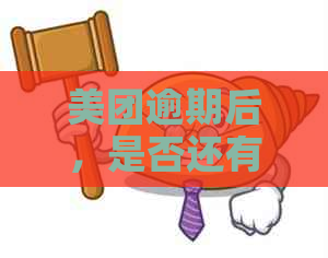 美团逾期后，是否还有途径再次借款？