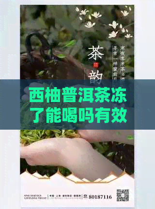 西柚普洱茶冻了能喝吗有效果吗？