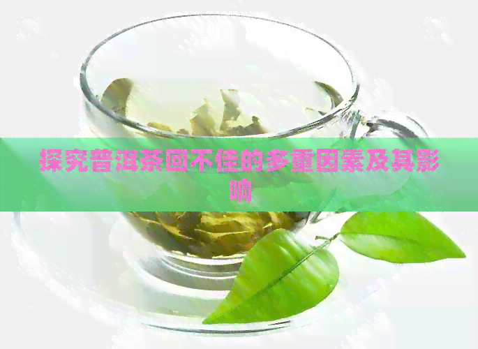 探究普洱茶回不佳的多重因素及其影响