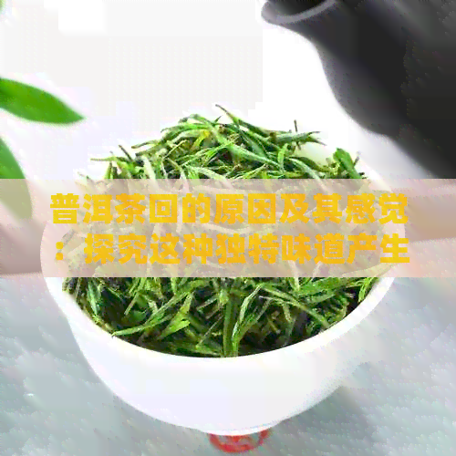 普洱茶回的原因及其感觉：探究这种独特味道产生的奥秘