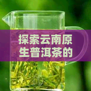 探索云南原生普洱茶的价格与品质：从京东到批发的全解析