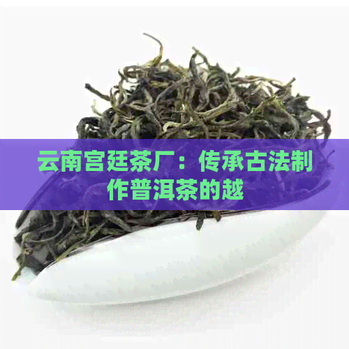 云南宫廷茶厂：传承古法制作普洱茶的越