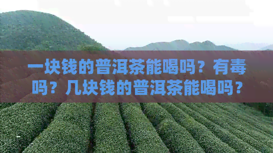 一块钱的普洱茶能喝吗？有吗？几块钱的普洱茶能喝吗？一块一块的普洱茶。