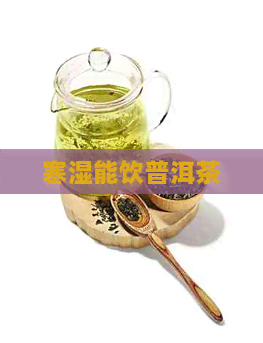 寒湿能饮普洱茶