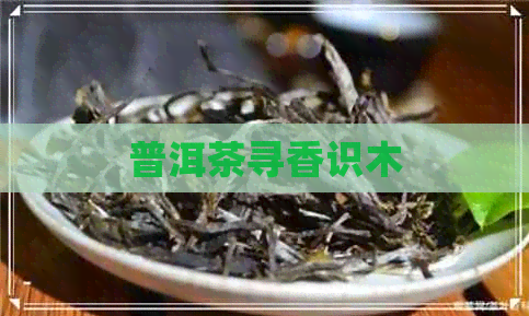 普洱茶寻香识木