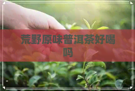 荒野原味普洱茶好喝吗