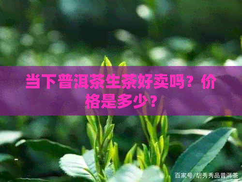 当下普洱茶生茶好卖吗？价格是多少？