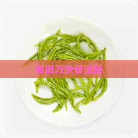 老挝万象普洱茶