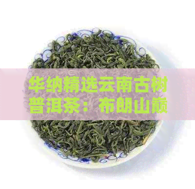 华纳精选云南古树普洱茶：布朗山巅峰品质