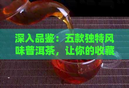 深入品鉴：五款独特风味普洱茶，让你的收藏更加丰富多彩