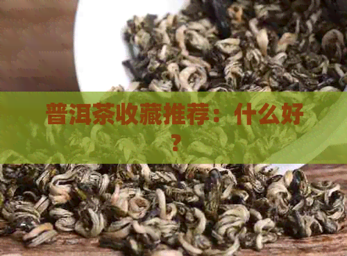 普洱茶收藏推荐：什么好？