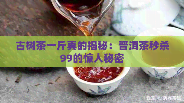 古树茶一斤真的揭秘：普洱茶秒杀99的惊人秘密