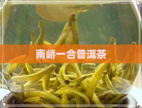 南峤一合普洱茶