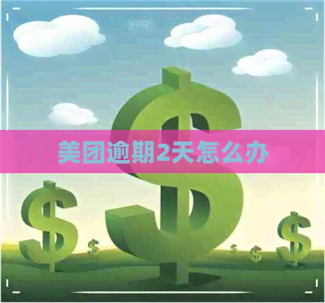 美团逾期2天怎么办