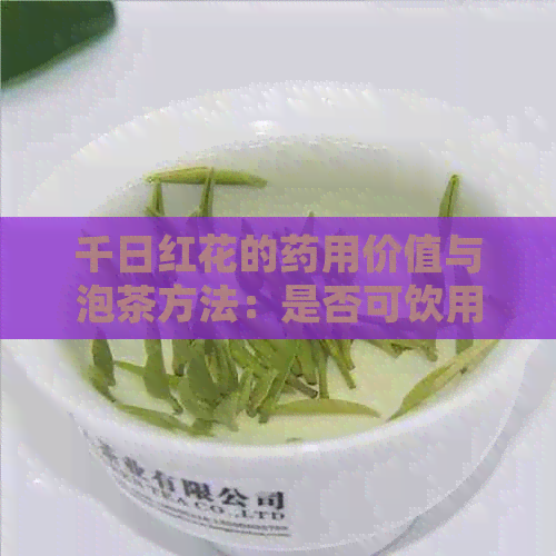 千日红花的药用价值与泡茶方法：是否可饮用？如何正确泡制？