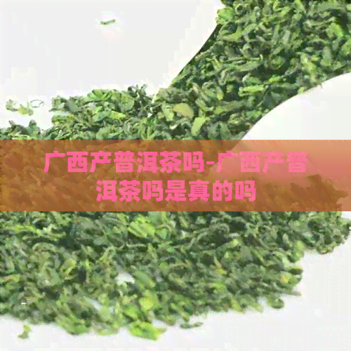 广西产普洱茶吗-广西产普洱茶吗是真的吗