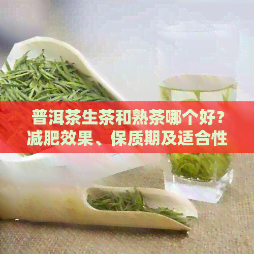 普洱茶生茶和熟茶哪个好？减肥效果、保质期及适合性别解析