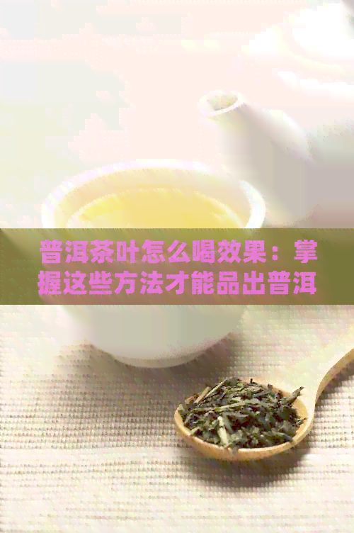 普洱茶叶怎么喝效果：掌握这些方法才能品出普洱茶的醇香