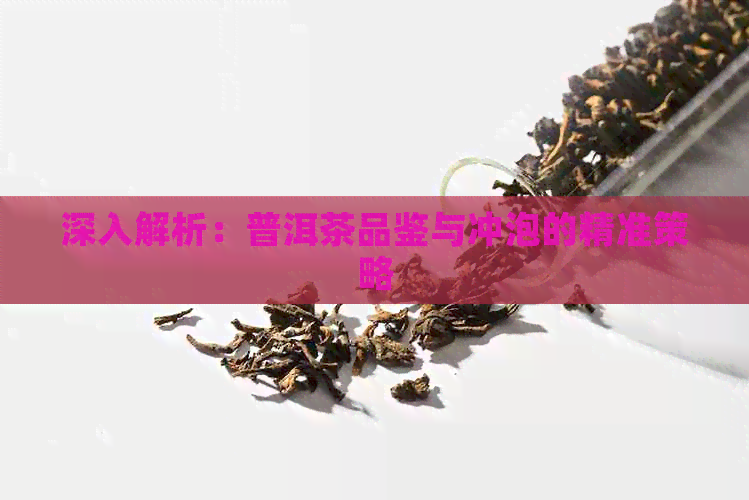 深入解析：普洱茶品鉴与冲泡的精准策略