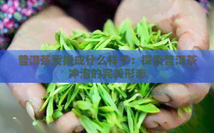 普洱茶要撬成什么样子：探索普洱茶冲泡的完美形态