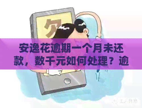 安逸花逾期一个月未还款，数千元如何处理？逾期后果及解决方案全解析