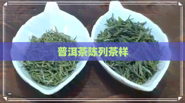 普洱茶陈列茶样