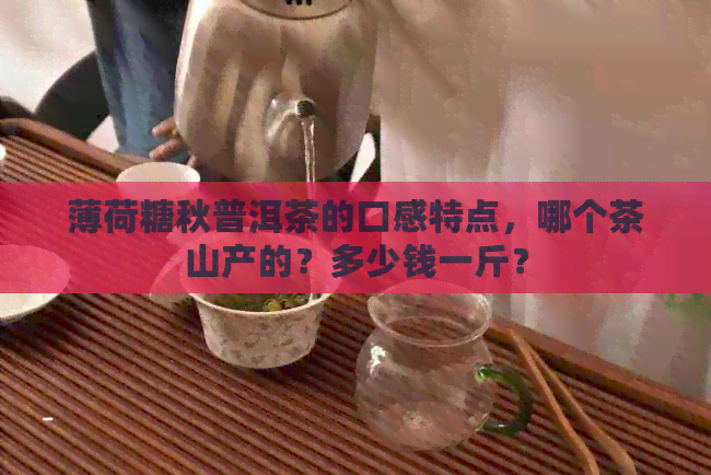 薄荷糖秋普洱茶的口感特点，哪个茶山产的？多少钱一斤？