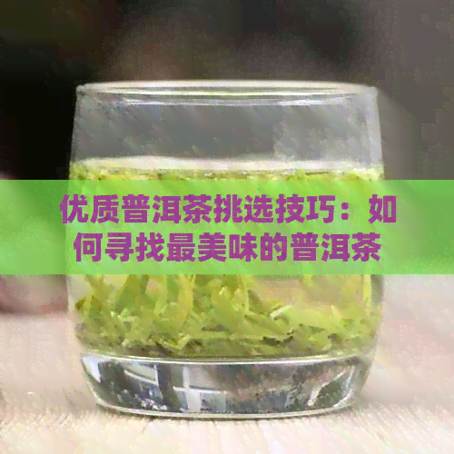 优质普洱茶挑选技巧：如何寻找最美味的普洱茶