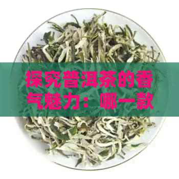 探究普洱茶的香气魅力：哪一款口感？