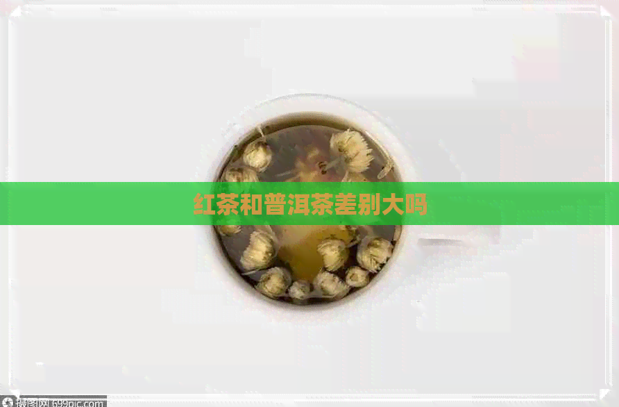 红茶和普洱茶差别大吗