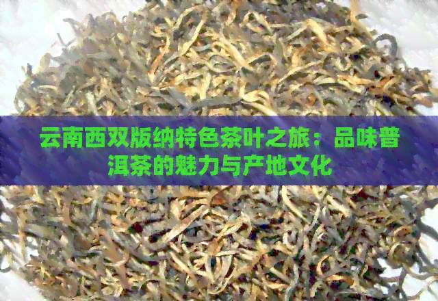 云南西双版纳特色茶叶之旅：品味普洱茶的魅力与产地文化