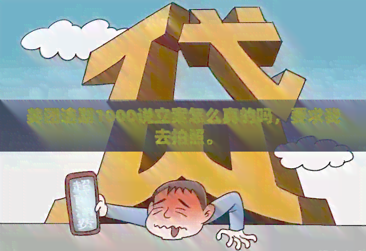 美团逾期1000说立案怎么真的吗，要求我去拍照。