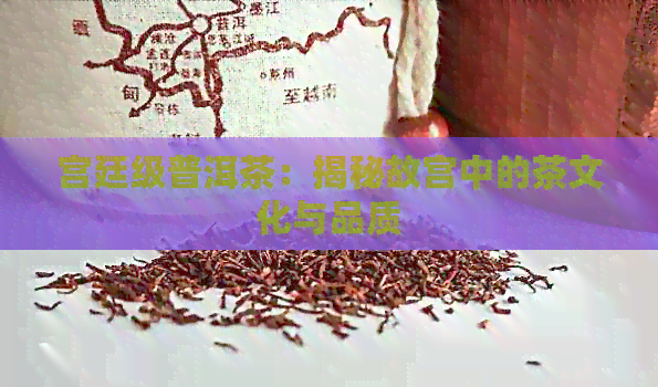 宫廷级普洱茶：揭秘故宫中的茶文化与品质