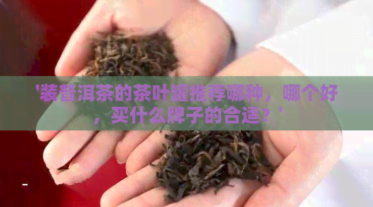 '装普洱茶的茶叶罐推荐哪种，哪个好，买什么牌子的合适？'