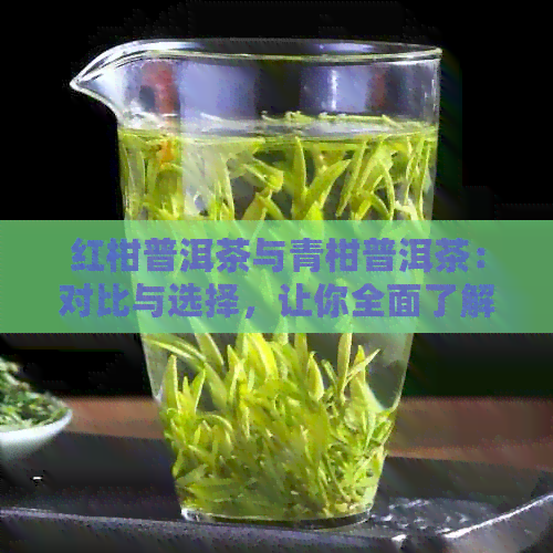 红柑普洱茶与青柑普洱茶：对比与选择，让你全面了解两种茶叶的优缺点