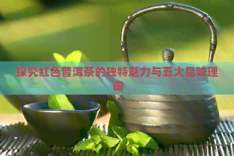 探究红色普洱茶的独特魅力与五大品味理由