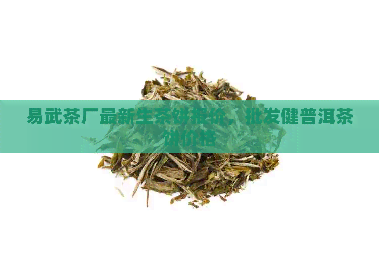 易武茶厂最新生茶饼报价，批发健普洱茶饼价格