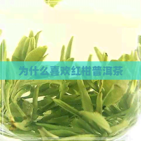 为什么喜欢红柑普洱茶