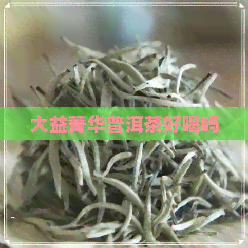 大益菁华普洱茶好喝吗