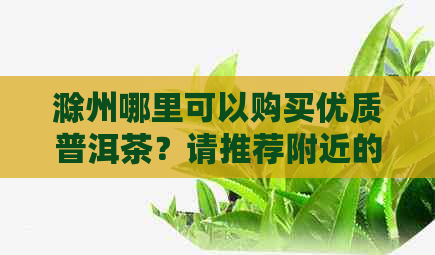 滁州哪里可以购买优质普洱茶？请推荐附近的茶叶专卖店或市场。