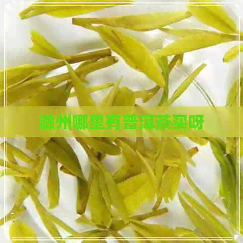 滁州哪里有普洱茶买呀