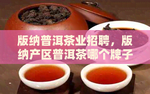 版纳普洱茶业招聘，版纳产区普洱茶哪个牌子好？地址：xxx。