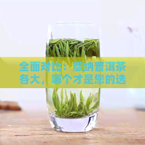 全面对比：版纳普洱茶各大，哪个才是您的选择？