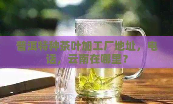 普洱特种茶叶加工厂地址，电话，云南在哪里？